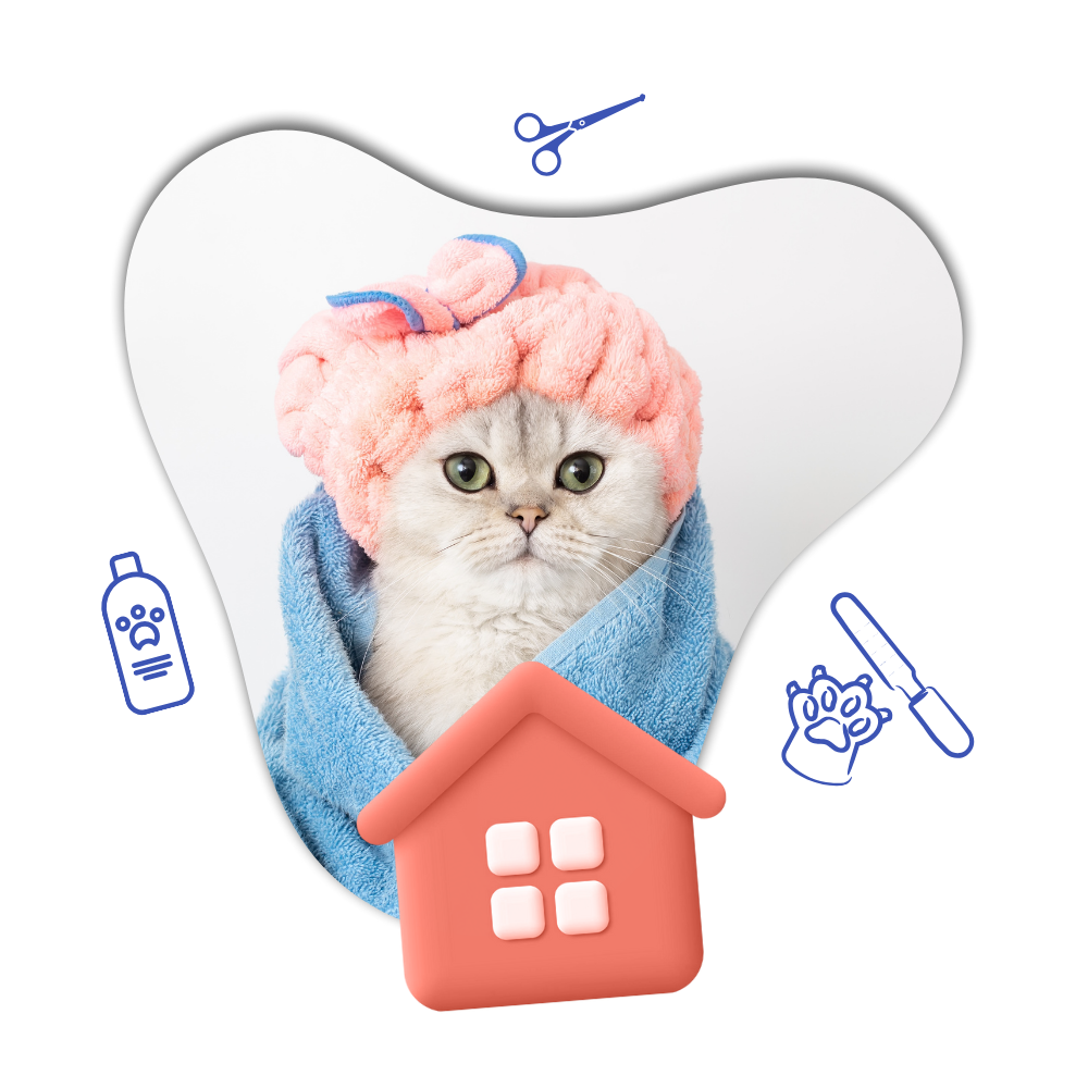 Basic Home Grooming