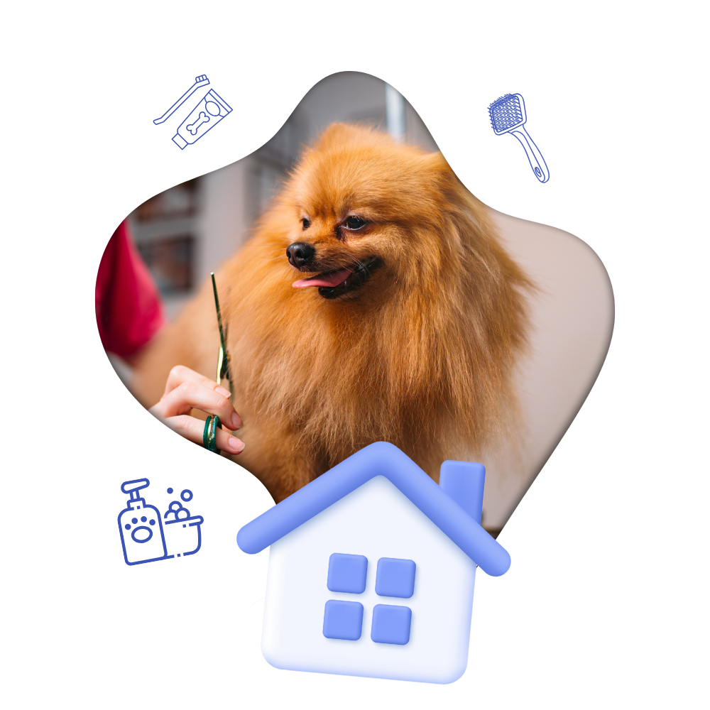 Full Home Grooming