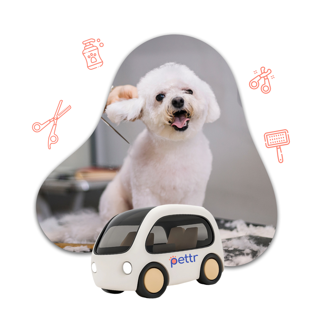 Full Mobile Grooming