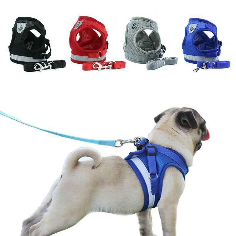 REFLECTIVE STRIPE HARNESS with LEASH