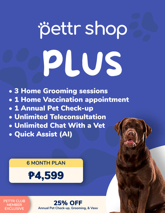 PLUS Subscription